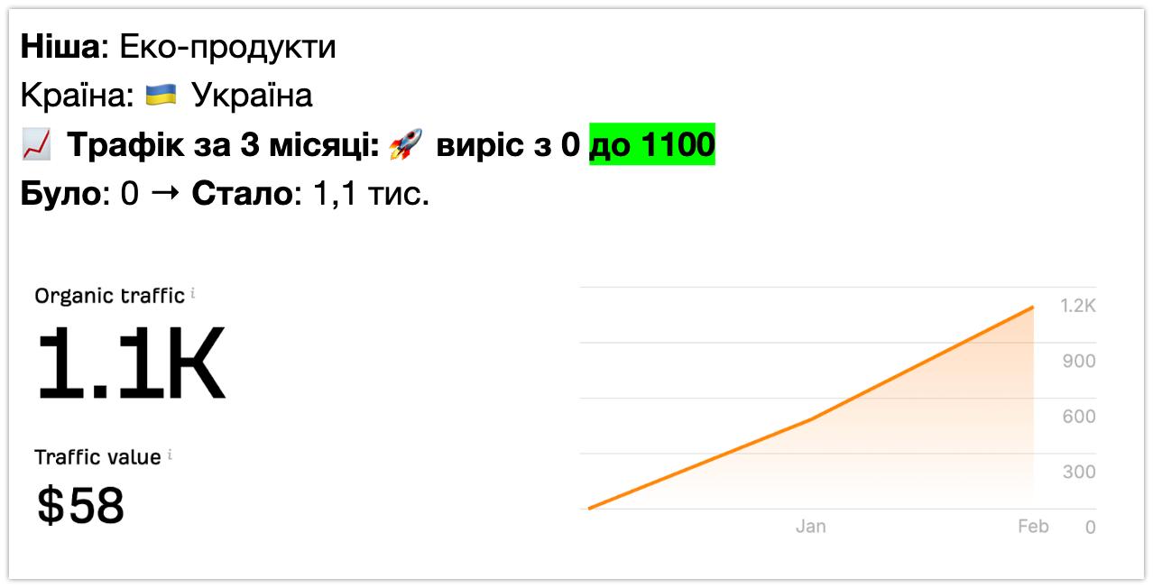 SEO кейс — эко-продукты